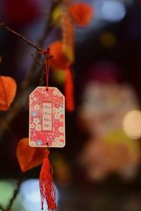 dịch vụ khách hàng Sodo